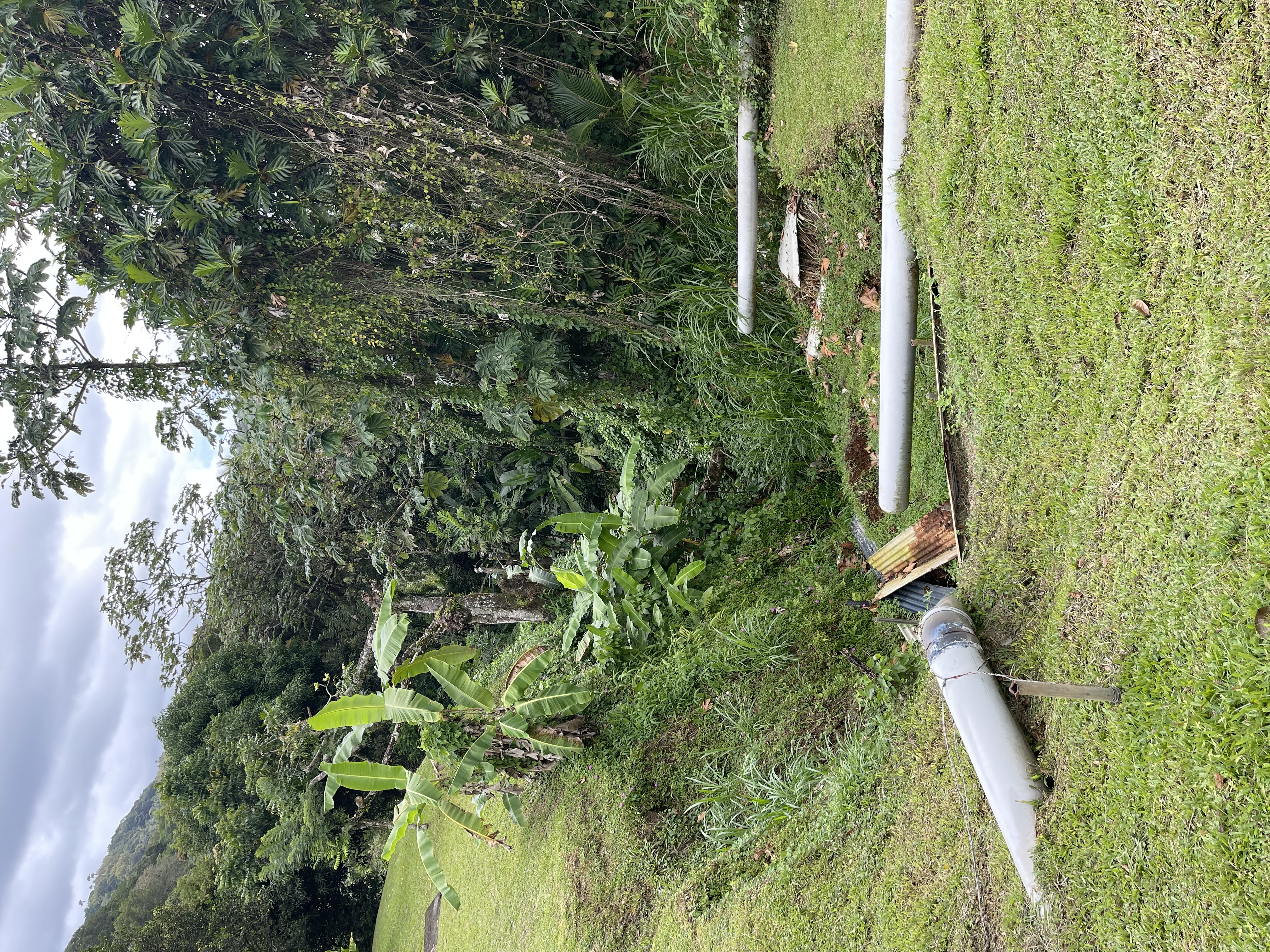 Terrassement - Matériel